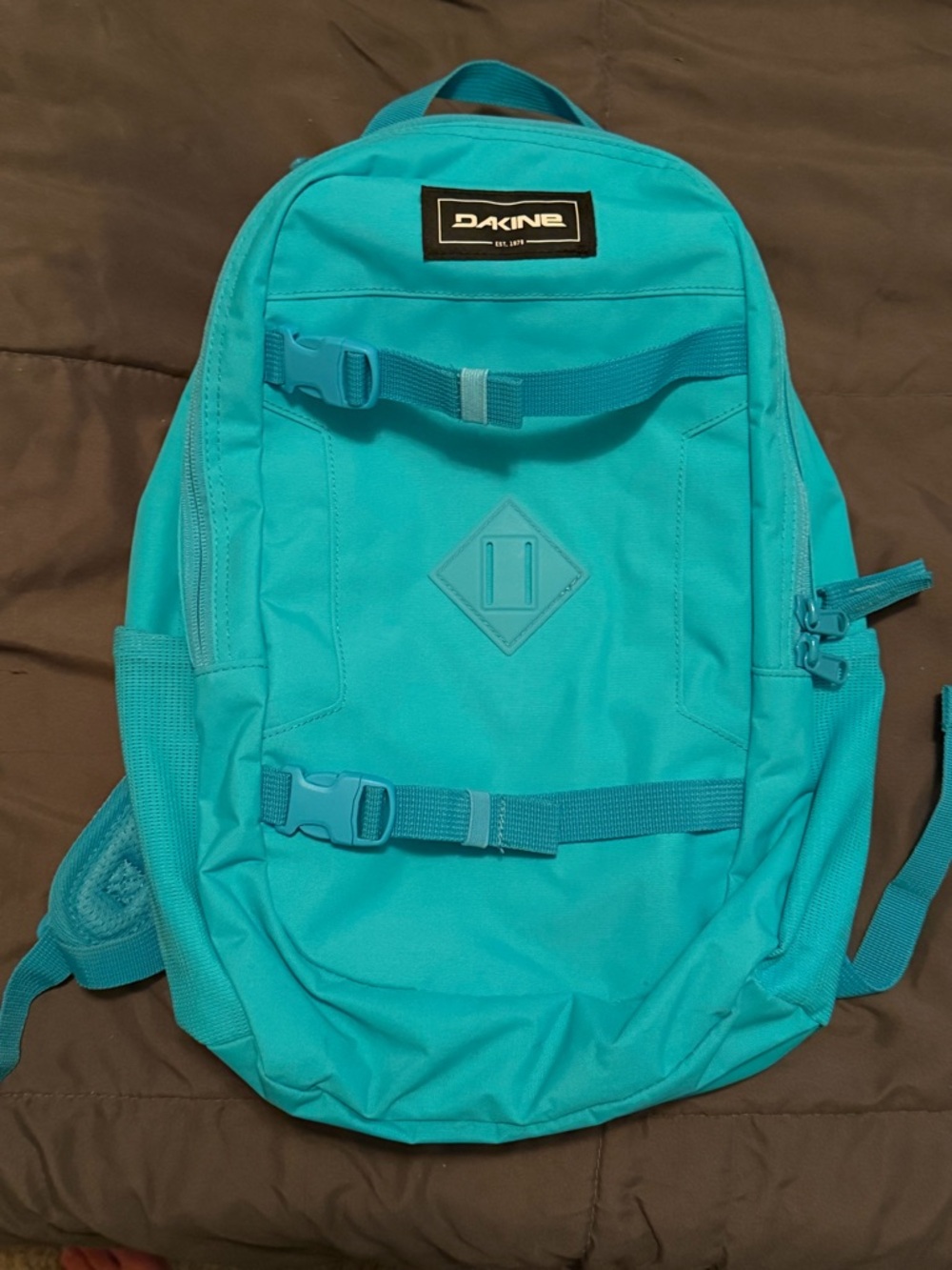 Dakine Turquoise Daypack with Front Straps